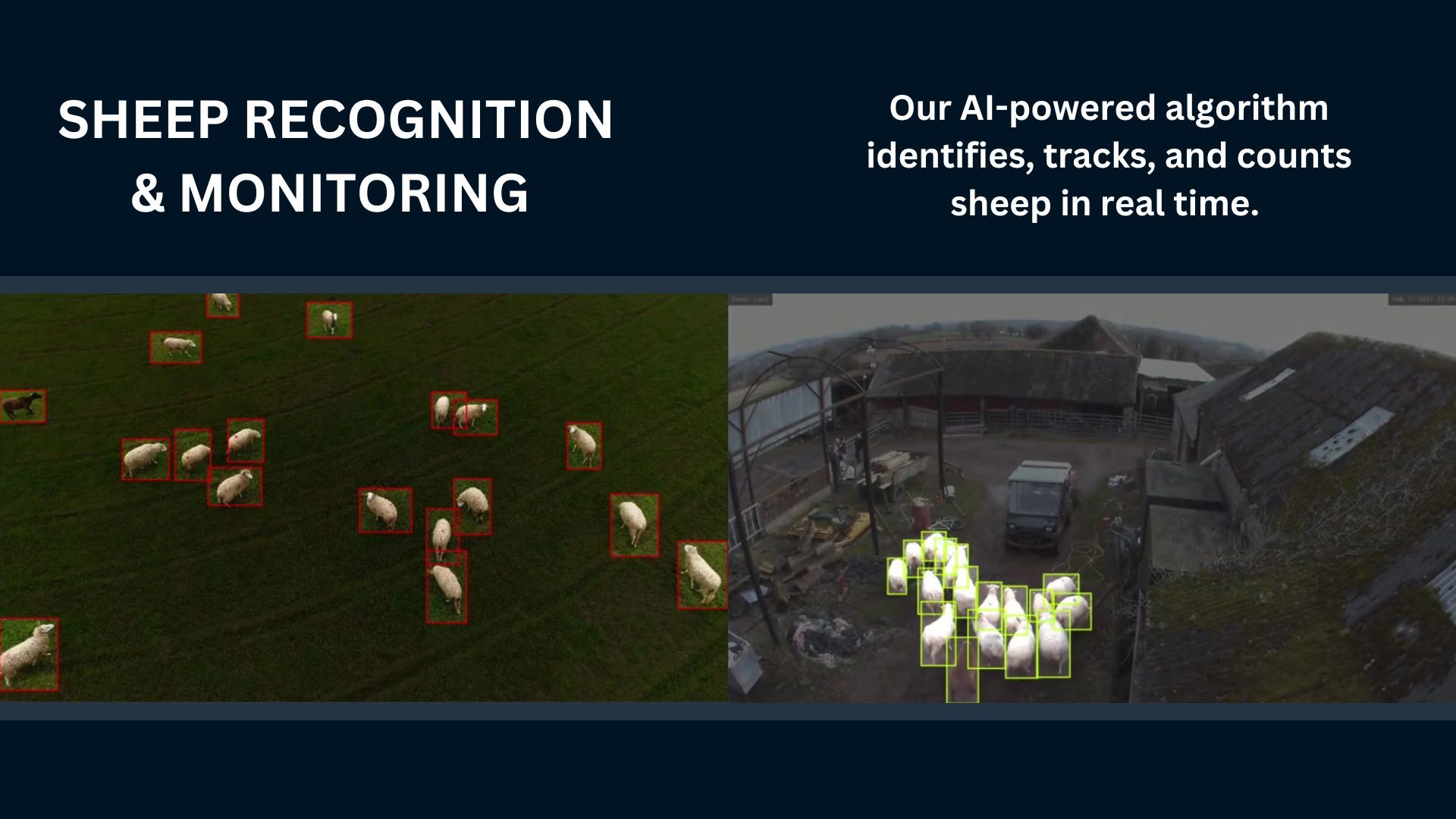 Case Study: Protecting Livestock with Fortix AI and 4G Cameras