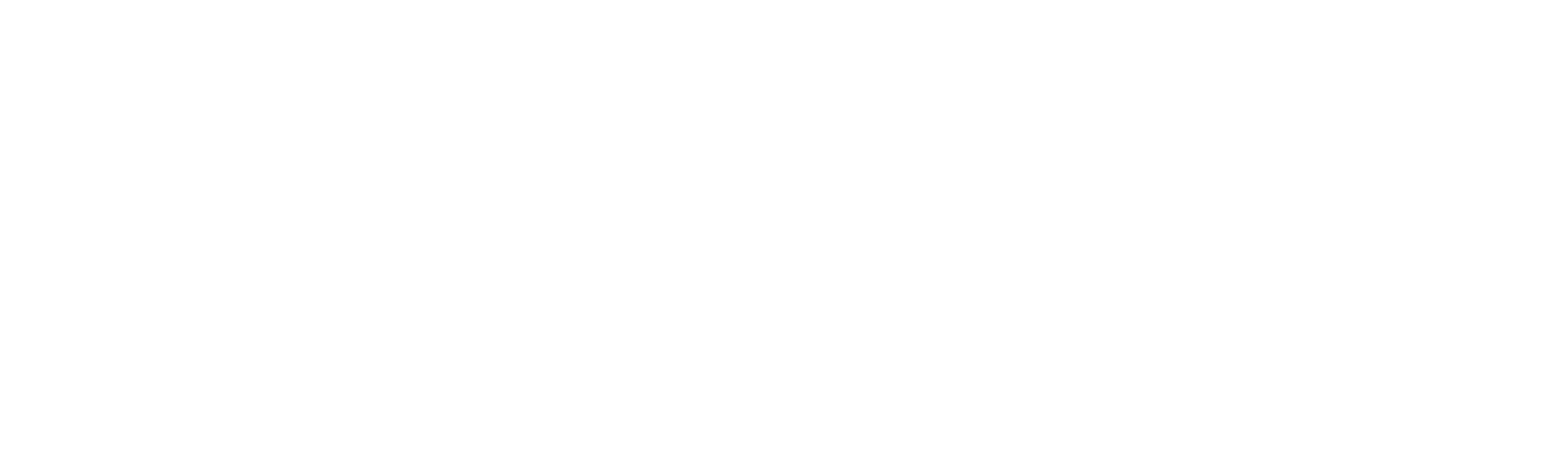 Fortix AI